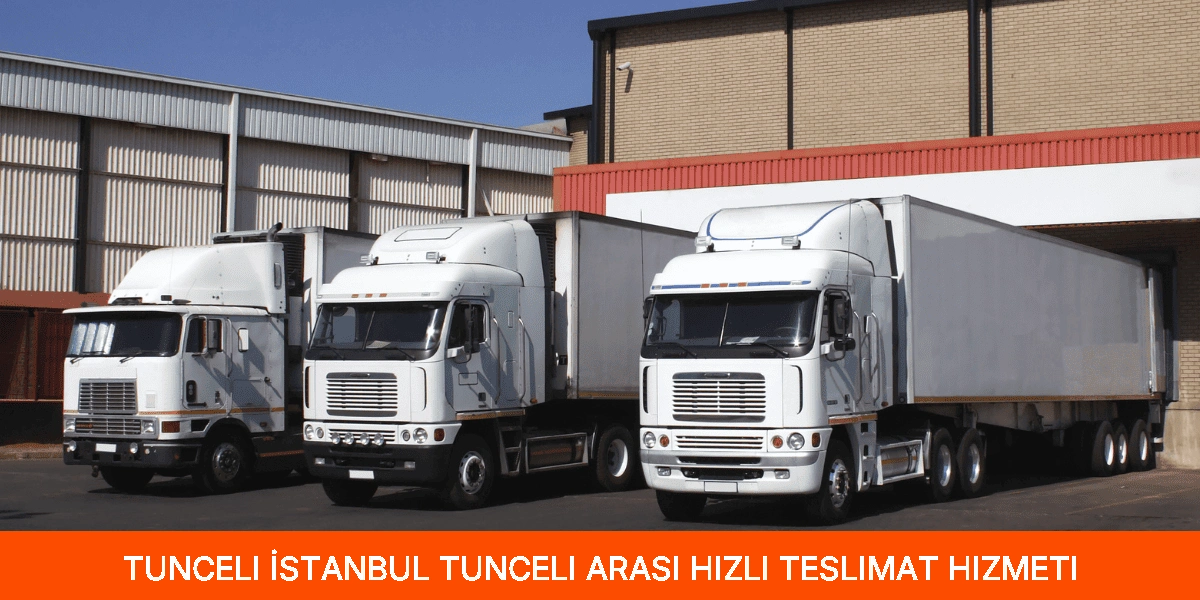 İstanbul Tunceli Arası Hızlı Teslimat Hizmeti